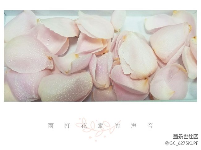 大爱三星的相机