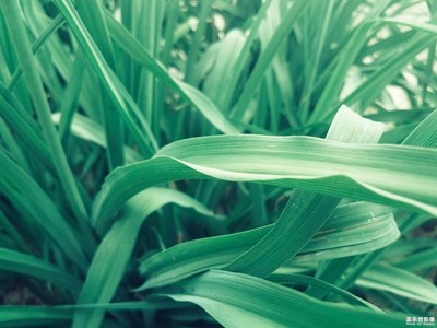 浅浅-慢慢-自然