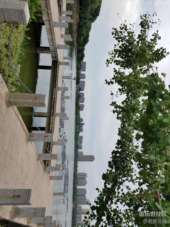 我爱我的家乡