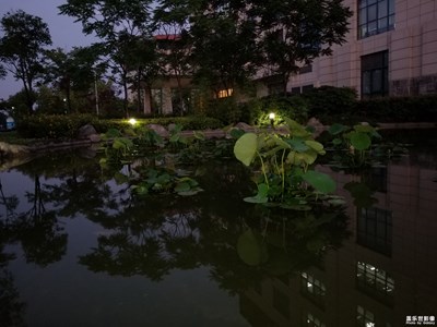 【行走，发现】+ 黄昏的景