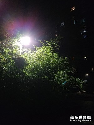 随手拍的夜景