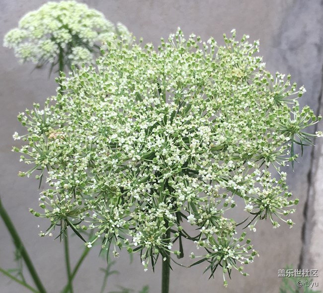 微爱益行，我们在路上