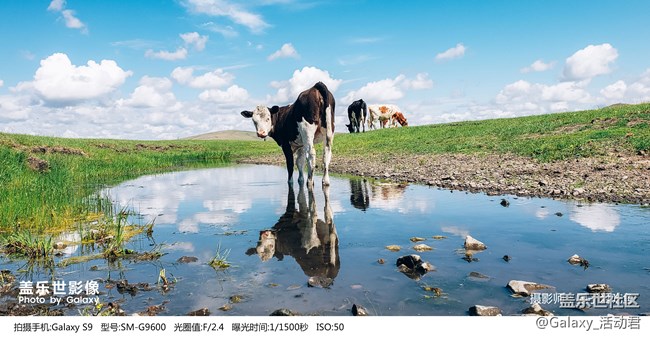 盖乐世影像|960万平方公里，记录一场永不落幕的至美传奇