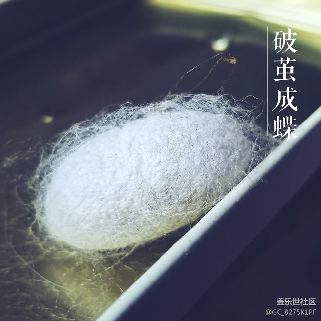 忙碌的时候更喜欢你来帮我记录生活