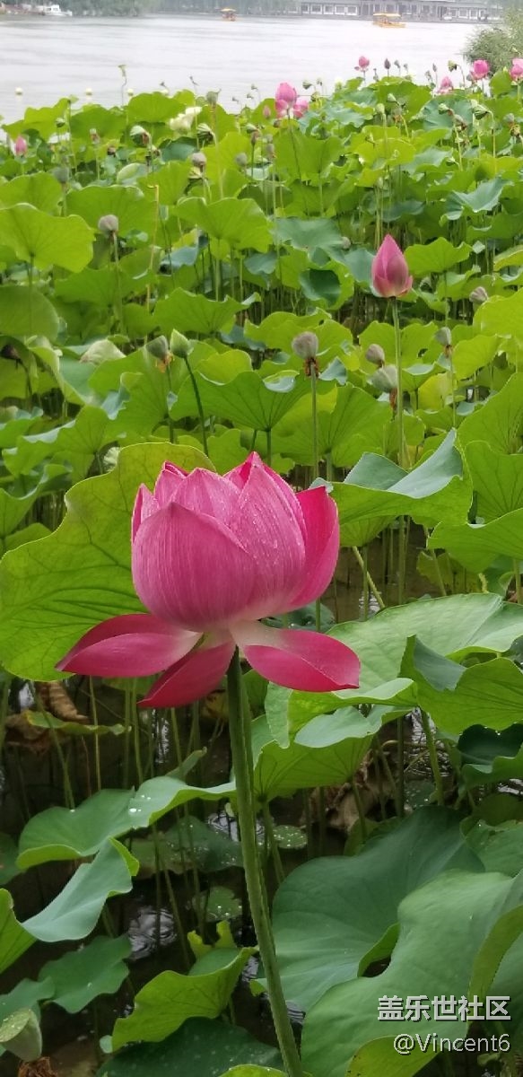 s8+的效果还不错