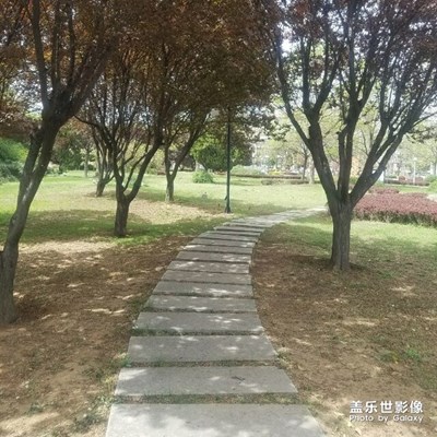 【“醉美”公园】+孔子广场公园