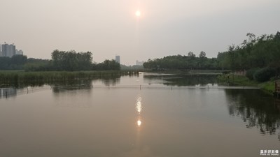 白鹭洲湿地公园