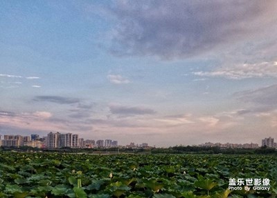 去“琴台大剧院”听音乐会随拍