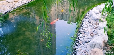 楼下随拍