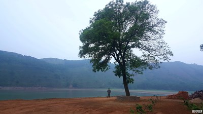 原来你也可以站成一道风景