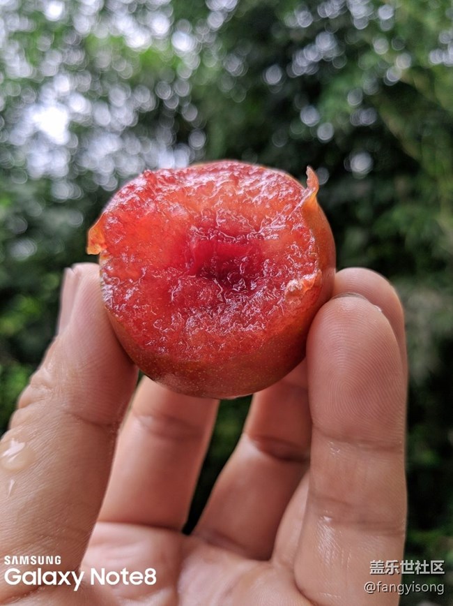 来几张照片