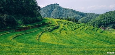上堡上堡，高山之上水淼淼——江西崇义
