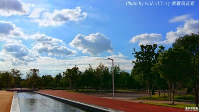 【初秋】+雨后植物园 清新