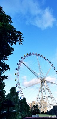 今日上海，不温不燥~