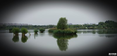 彩色南湖湿地
