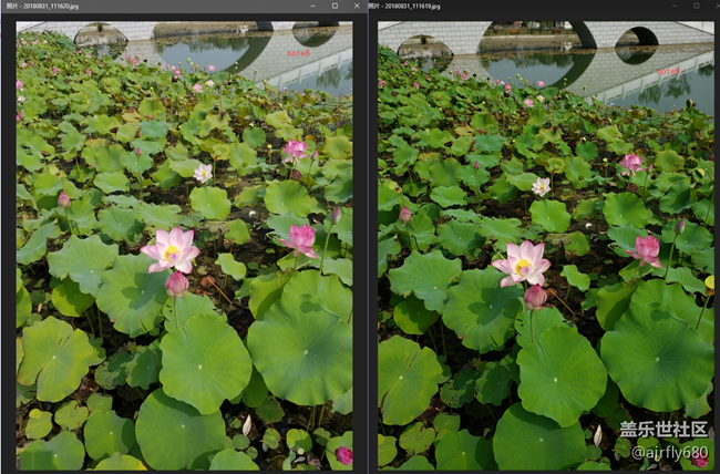 忍不住,做了一个N8.N9拍照对比评测(白天+夜晚) 忍不住,做了一个N8.N9拍照对比评测(白天+夜晚)