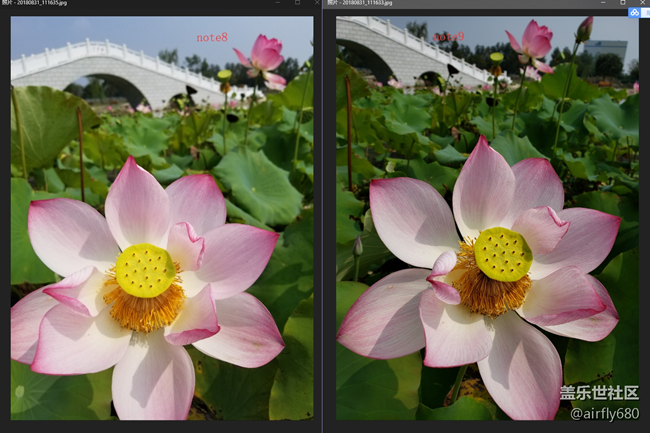 忍不住,做了一个N8.N9拍照对比评测(白天+夜晚) 忍不住,做了一个N8.N9拍照对比评测(白天+夜晚)