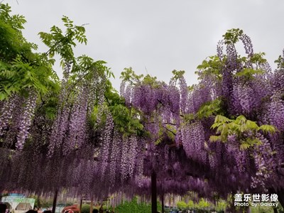 【自然之美】+春夏秋冬