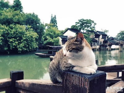 偶遇