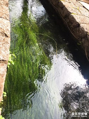 风景