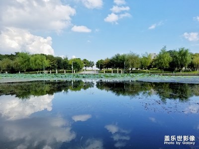 鄞州区院士公园午后风景