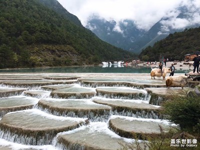 风景