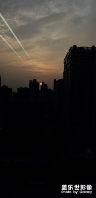 蛋黄，
