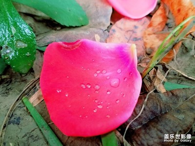 往事如烟，浅笑而安
