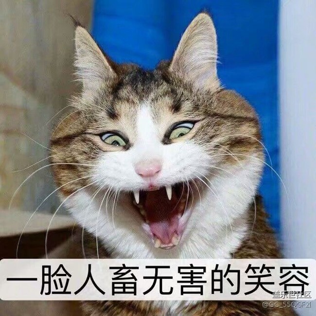 s8凝时拍照在哪呢？