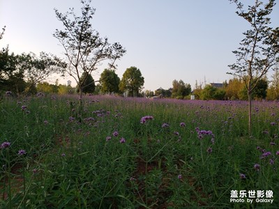 国庆平天湖边随手拍