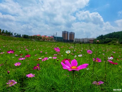 美丽风景