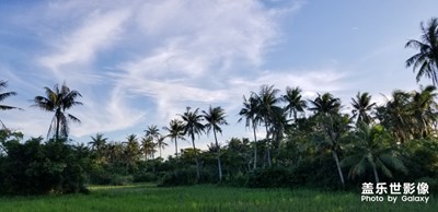 椰城。。。海口HAIKOU