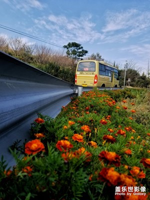 国庆游一丹山赤水柿林村