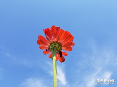 游玩