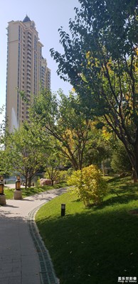 小区随拍