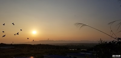 夕阳西下群鸟飞