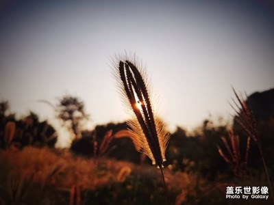 我和情人与山