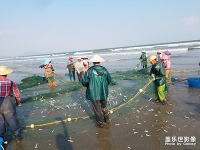 海丰捕鱼现场