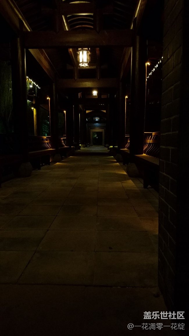 王者仍在，最强夜视仪随手夜拍。