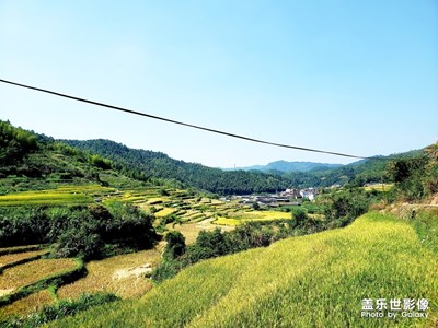 老家的丰收季