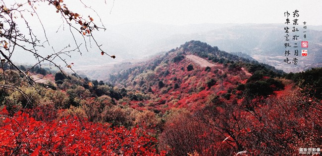 【每周精帖汇119】秋意正浓 是时候表演真正的技术了