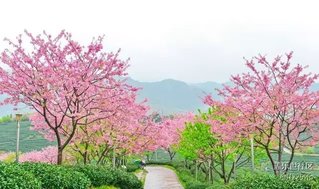 能不能来个稳定版