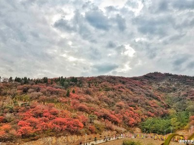 周末赏红叶之旅-博山九龙峪