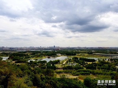 【秋至】+秋游辰山植物园