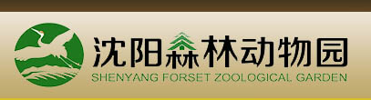 【活动招募】沈阳星部落邀您看动物观熊猫