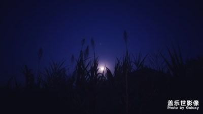夜初静
