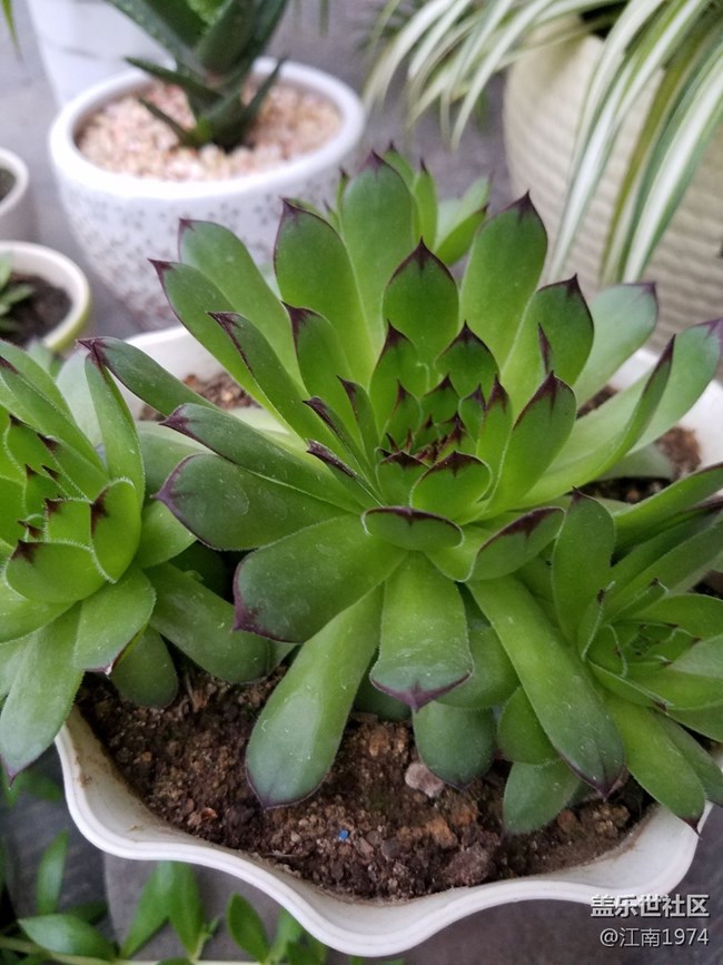 7e随手拍