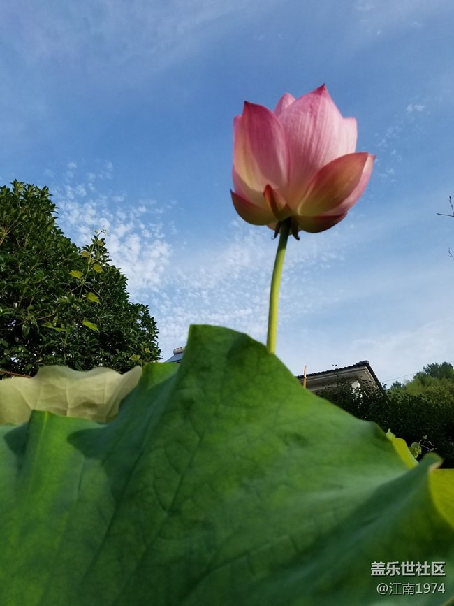 7e随手拍