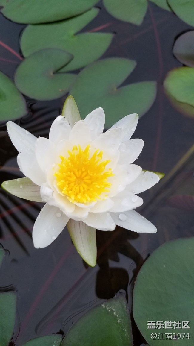 7e随手拍