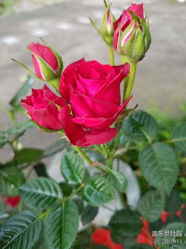 7e随手拍